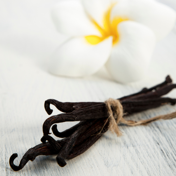 Vanilla Bean Buttercream- Body Butter