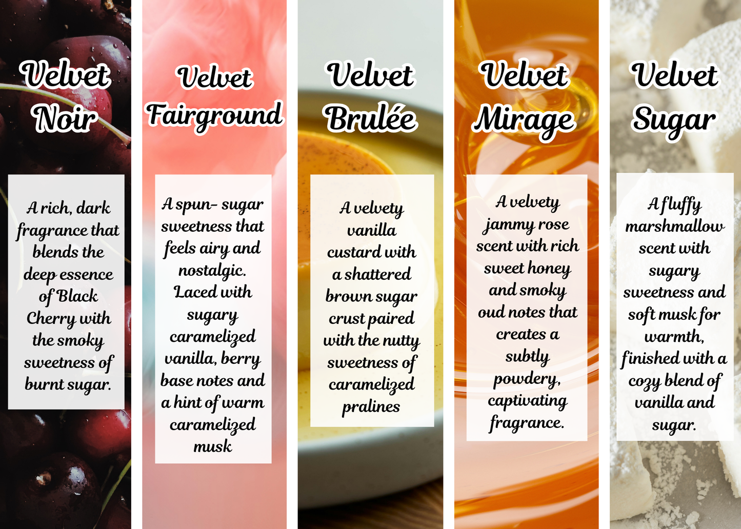 10ml EDP Spray - Wholesale